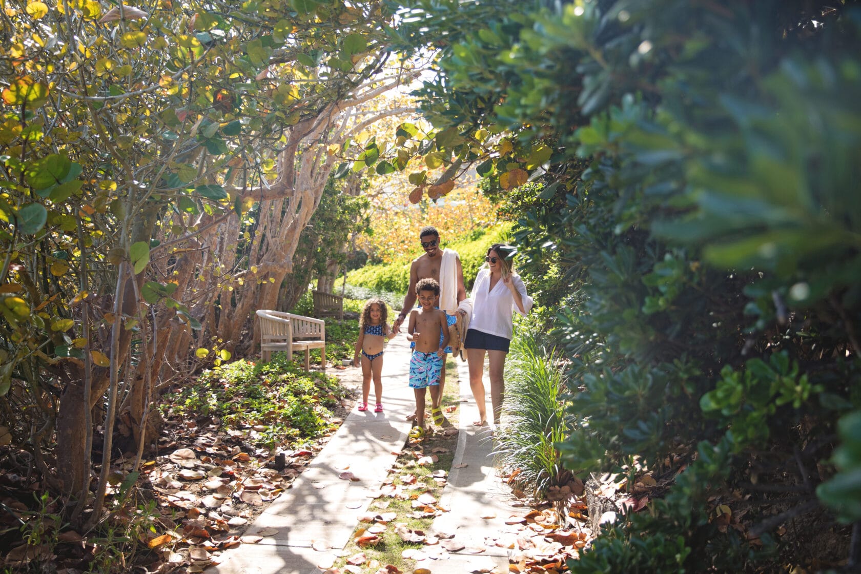 A family strolls along a path through the woods.