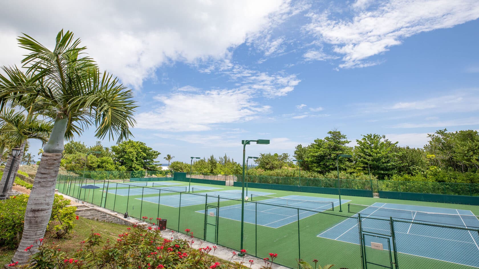 A tennis court with palm trees in the background, perfect for a Bermuda vacation.